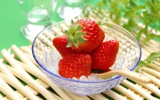 高知联合 VS 北九州向日葵